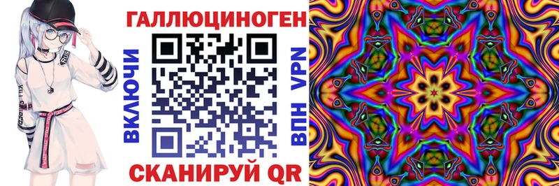 где найти наркотики Дно Псилоцибиновые грибы Psilocybe